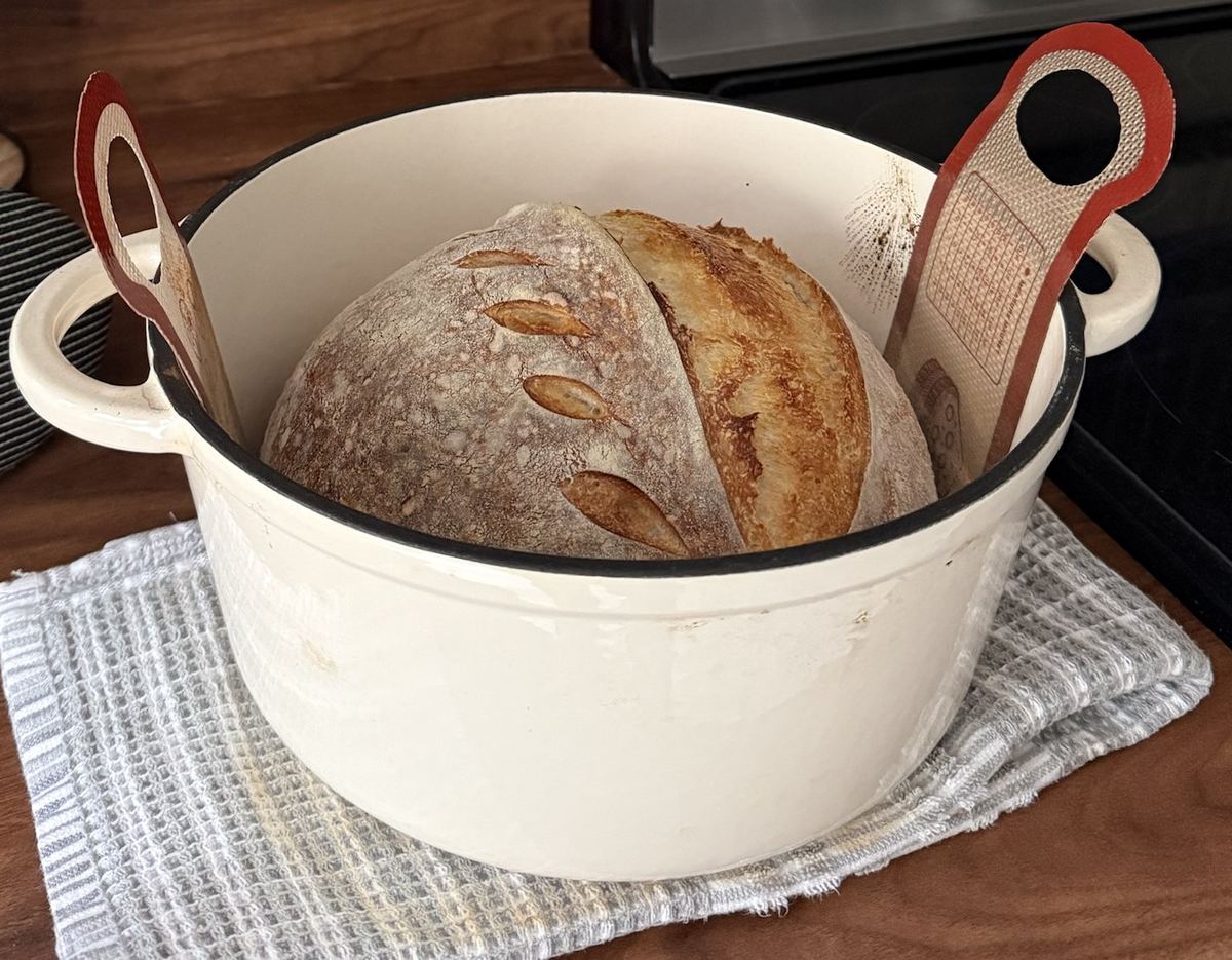Sourdough loaf baked inside a cream enameled Dutch oven with a silicone sling, resting on a folded waffle-knit towel